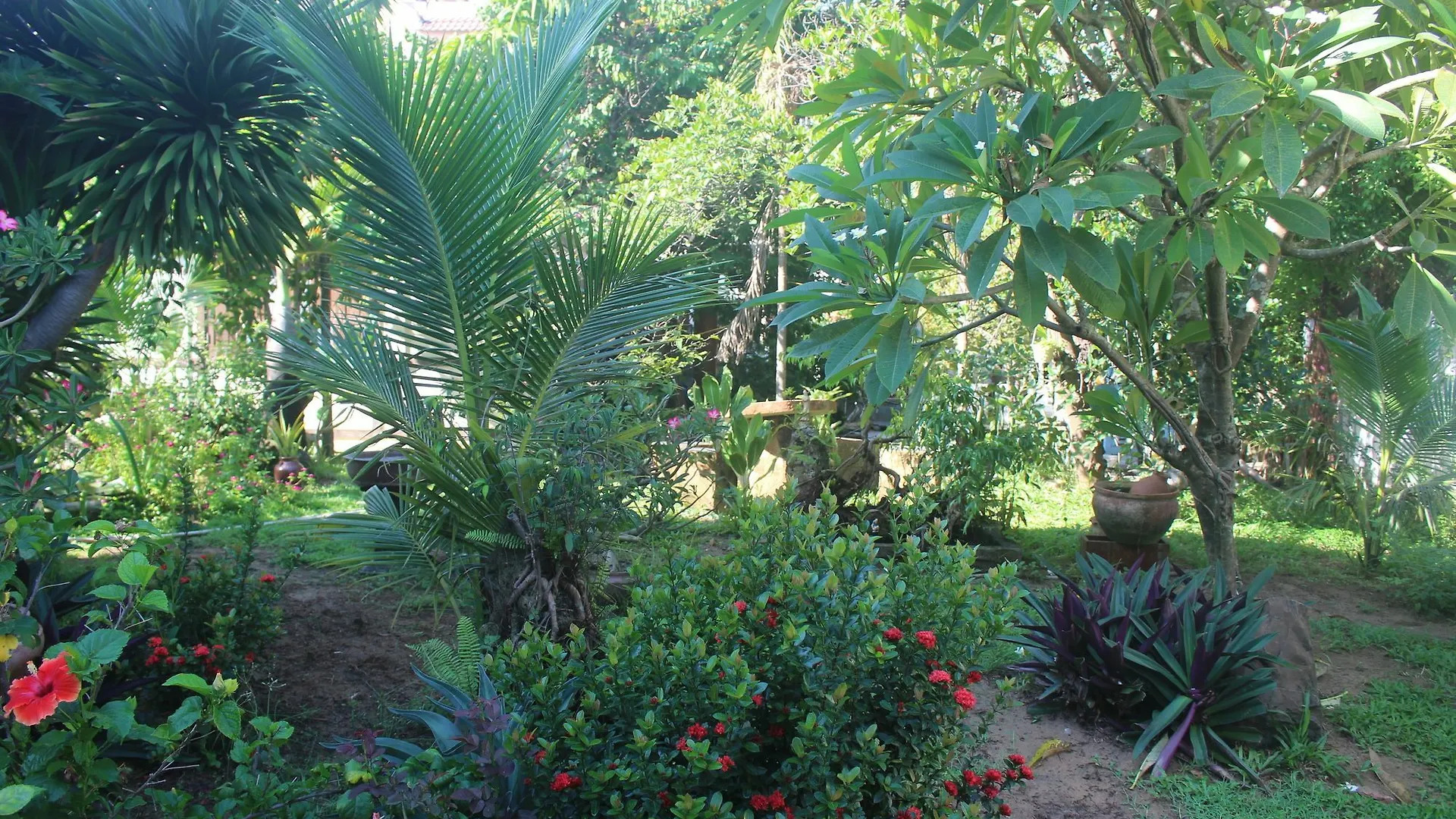 Trust Homestay Villa Hoi An Wietnam
